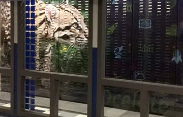 Ocelote Supercomputer